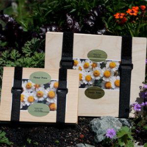 Large Flower Press 8"x10"